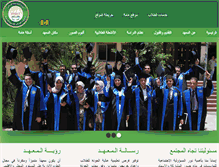 Tablet Screenshot of msiteg.com